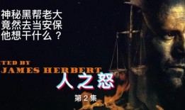 怒火冲天在线观看,在线观看，激情燃烧的复仇之旅