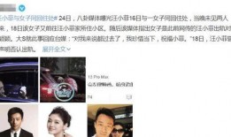 独家爆料汪小菲实锤视频,汪小菲实锤视频曝光，真相大白！